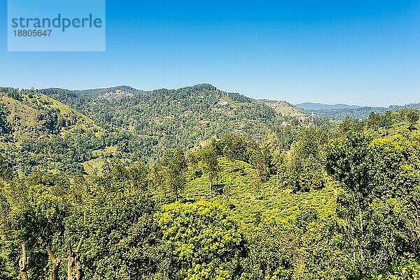 Sri Lanka  Asien  Ceylon  Südasien  Ella  Ella Sri Lanka  Kleinstadt  Siedlung  Ortschaft  Häuser  Wohnhaus. Provinz  Gebirge  Hochland  Landschaft  Gebirgszug  Natur  auf dem Lande  Umgebung  Hang  Gelände  Höhe  ländlich  Wald  Vegetation  Flora  Berghang  Wildnis  landschaftlich reizvoll  tropische Zone  Lebensraum  Touristenziel  Provinz Uva  Reiseziel  touristisch  Touristenort  berühmt  Aussichtspunkt  Ausblick  im Freien  außerhalb  Asien