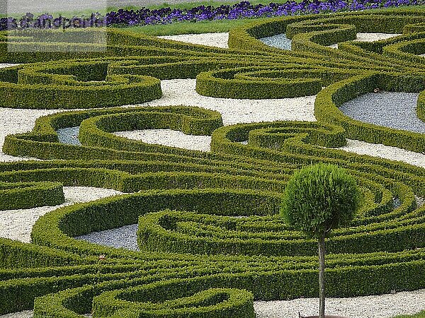 Blühendes Barock Ludwigsburg im Frühling  BW.-D. Buchsbaum in Form geschnitten