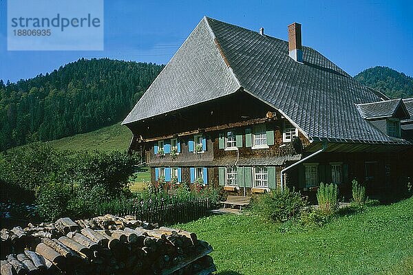 Bauernhof in Menzenschwand  bei St. Blasien im Schwarzwald  Baden-Württemberg  Deutschland  Europa