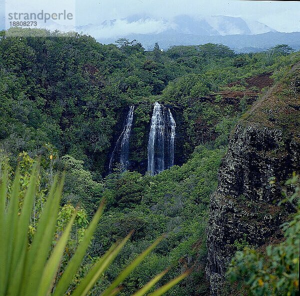 Die Opaekaa Falls im Osten. Wasserfall USA-Hawaii/Insel Kauai