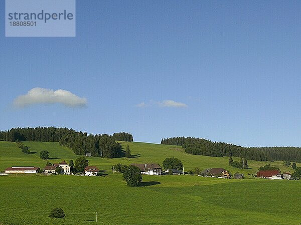 Schwarzwaldhöfe am Fahrenberg  Breitnau bei Freiburg. Bad. -Wuertt. BRD