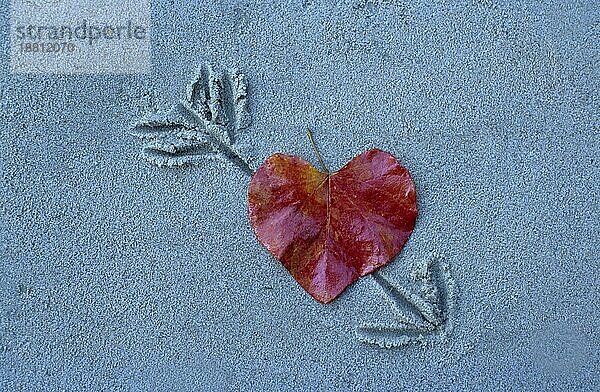 Herzförmiges Blatt mit Pfeil  Amor durch Herzblatt im Sand