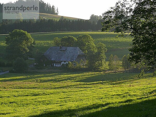 Schwarzwaldhof in Breitnau. Abendlicht. Bad. -Wuertt. BRD