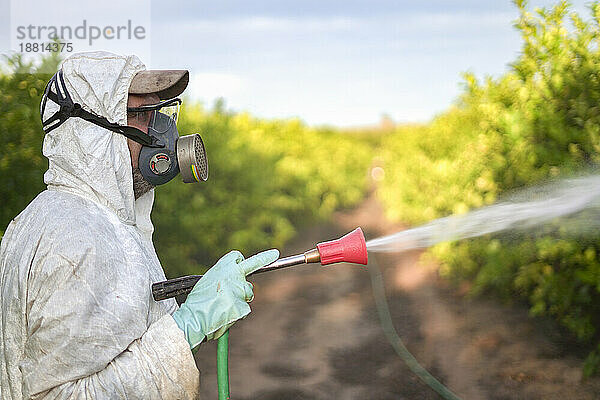 Landarbeiter im Schutzanzug sprüht Pestizide auf Zitronenbäume