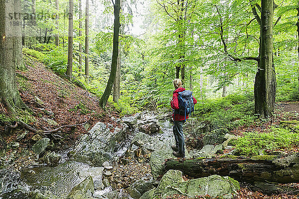 Reife Frau mit Rucksack steht im Wald