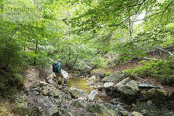 Aktiver älterer Mann steht auf einem Felsen im Wald