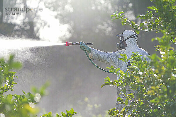 Landarbeiter versprüht Pestizide im Schutzanzug
