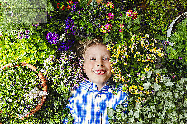Lächelnder Junge  der sich inmitten blühender Pflanzen hinlegt