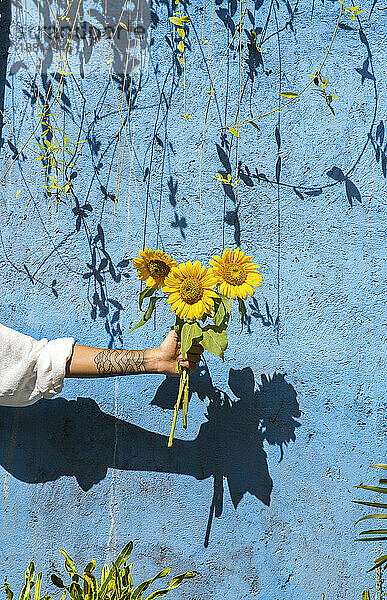 Frau hält Sonnenblume vor blauer Betonwand