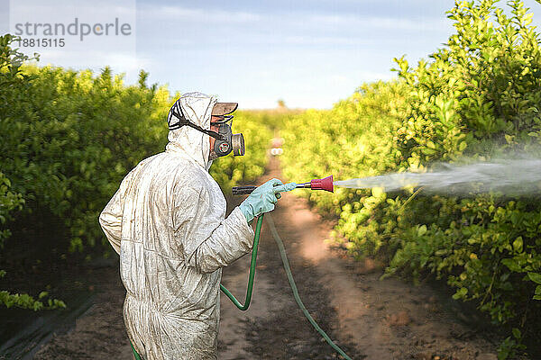 Landarbeiter im Schutzanzug sprüht bei Sonnenaufgang Pestizide auf Zitronenbäume