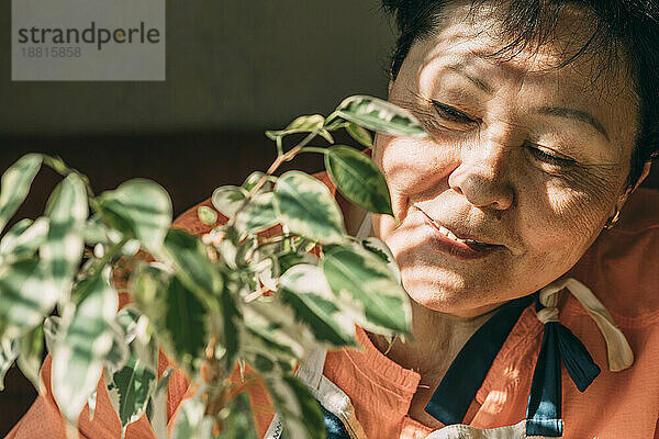 Ältere Frau betrachtet Zimmerpflanze im Sonnenlicht