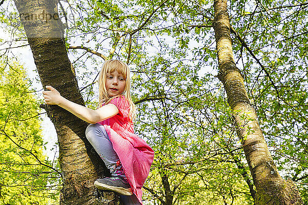 Blondes Mädchen klettert auf Baum im Park