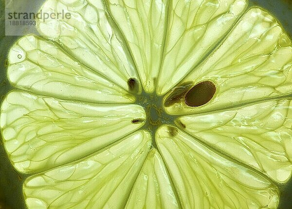 Sliced Lemon vor weißem Hintergrund mit Hintergrundbeleuchtung