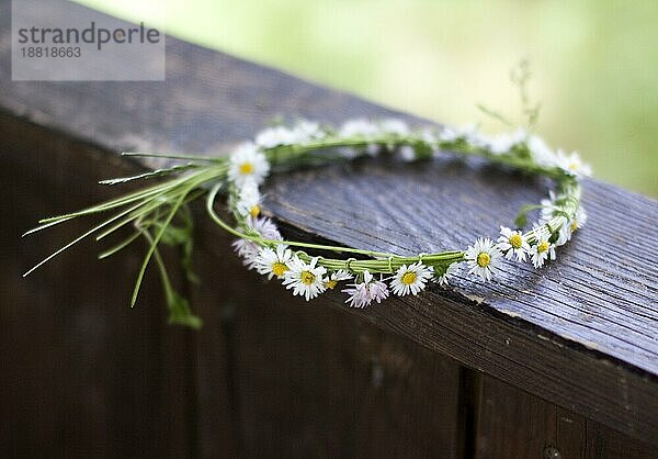 Gänseblümchenkrone im Frühling  aufgenommen mit sehr geringer Schärfentiefe