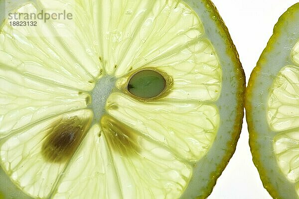 Sliced Lemon vor weißem Hintergrund mit Hintergrundbeleuchtung