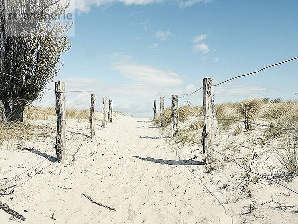 Schöner Weg zum Strand an einem sonnigen Wintertag  Ostsee