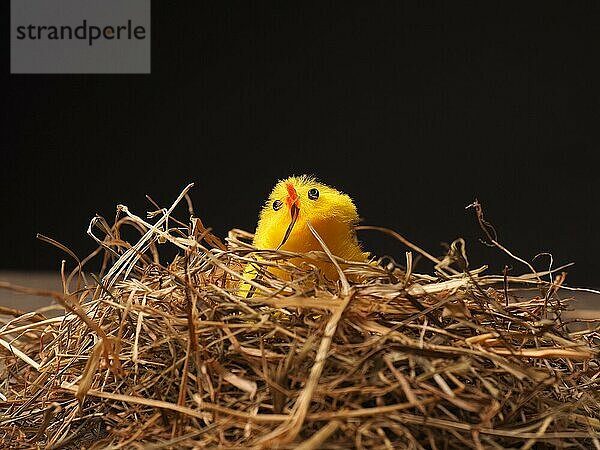 Ostern Hintergrund auf einem alten rustikalen Holztisch