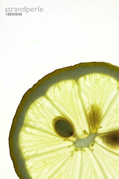 Sliced Lemon vor weißem Hintergrund mit Hintergrundbeleuchtung