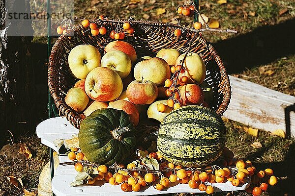 Bio-Äpfel und Kürbisse im Korb Herbstthema rustikale Outdoor-Stillleben