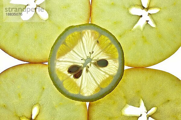 Geschnittene Zitrone und Apfel vor weißem Hintergrund mit Hintergrundbeleuchtung