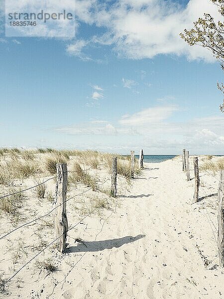 Schöner Weg zum Strand an einem sonnigen Wintertag  Ostsee