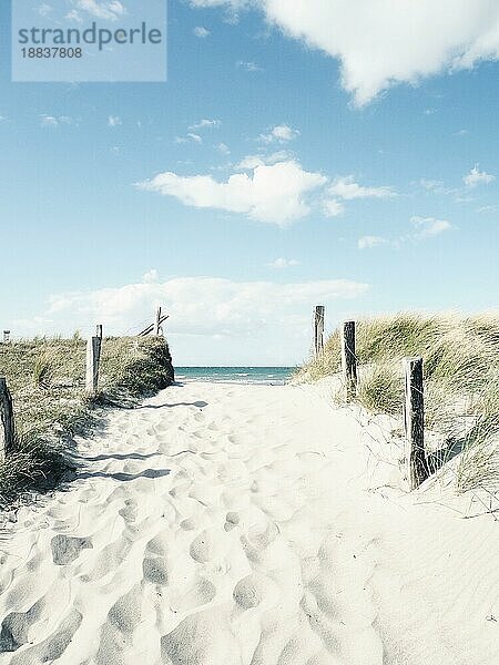 Schöner Weg zum Strand an einem sonnigen Wintertag  Ostsee