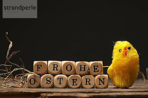 Ostern Hintergrund mit einem kleinen Huhn auf einem alten rustikalen Holztisch  deutsche Worte Frohe Ostern auf Holzwürfel