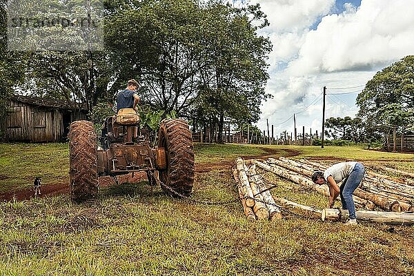 Eine Szene mit Menschen  die auf einem Feld arbeiten. Eine Frau bringt eine Kette an einem Baumstamm an  der von einem Traktor gezogen wird