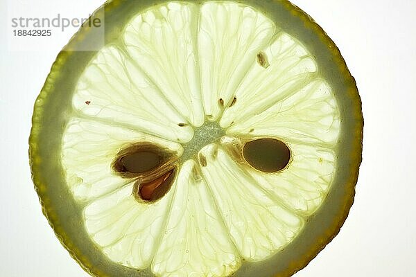 Sliced Lemon vor weißem Hintergrund mit Hintergrundbeleuchtung