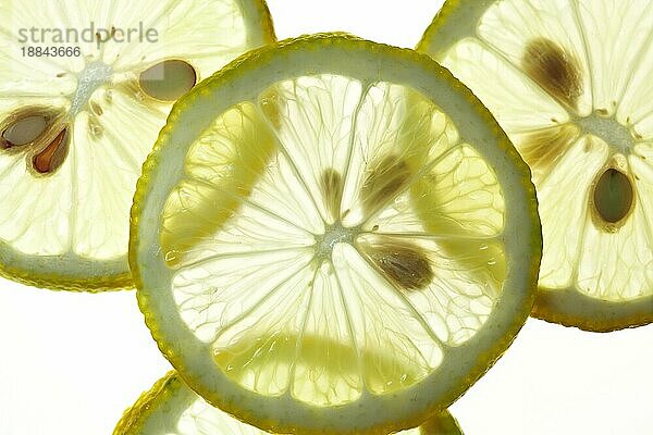 Sliced Lemon vor weißem Hintergrund mit Hintergrundbeleuchtung