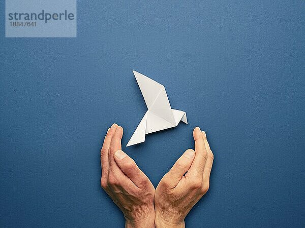 Hände  die eine Origami Friedenstaube auf einem blaün Papierhintergrund schützen  Freiheitskonzept
