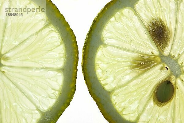 Sliced Lemon vor weißem Hintergrund mit Hintergrundbeleuchtung