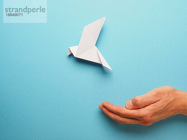 Offene Hand mit einer Origami Friedenstaube auf einem blaün Papierhintergrund  Freiheitskonzept