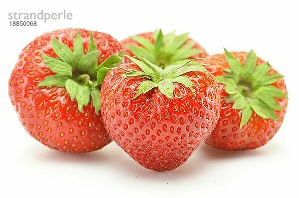 Frische Erdbeeren vor weißem Hintergrund