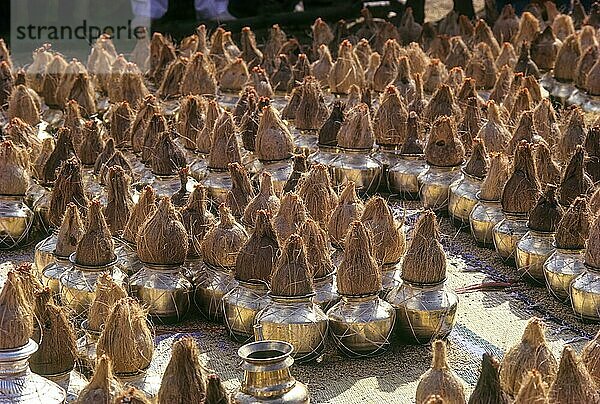 Reihen von Messinggefäßen mit Kokosnüssen an der Spitze für Puja während des Mahamastakabhisheka-Festes in Shravanabelagola  Karnataka  Südindien  Indien  Asien