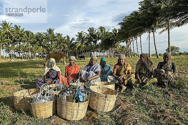 Bäuerinnen bei der Rast in Palladam  Tamil Nadu  Südindien  Indien  Asien