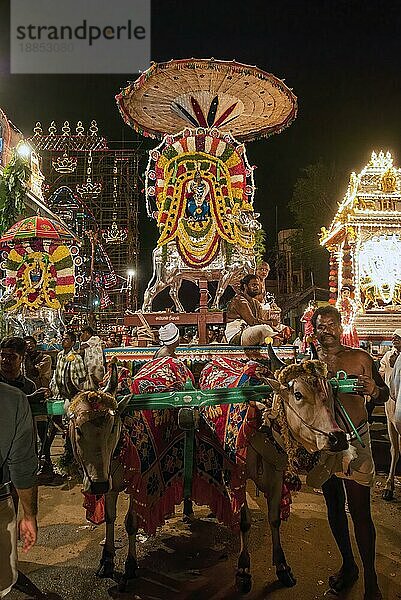 Ochsenkarren mit geschmücktem Herrn während des Vinayak Chaturthi Ganesh Chaturthi Festes im Sri Karpaga Vinayakar Tempel in Pillaiyarpatti nahe Karaikudi  Tamil Nadu  Südindien  Indien  Asien