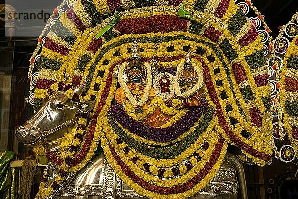 Geschmückter Lord Somaskandha auf einem Risabha Vahana Fahrzeug während des Vinayak Chaturthi Ganesh Chaturthi Festes im Sri Karpaga Vinayakar Tempel in Pillaiyarpatti nahe Karaikudi  Tamil Nadu  Südindien  Indien  Asien