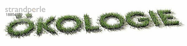 Ökologie  Gras  Natur  ökologisch  CO2  Nachhaltigkeit  Rasen  grün  Wort  nachhaltig  Schrift  Text  Lebensstil  Umweltverschmutzung  Kohlendioxyd  Emission  Verbrauch  Ressourcen  Ressourcenverbrauch  Eigenverantwortung  Gewissen  ökologisches  han