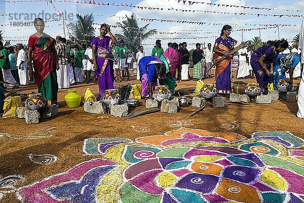 Frauen bei der Durchführung des Pongal-Festes in Pollachi  Tamil Nadu  Südindien  Indien  Asien. Rangoli  Asien