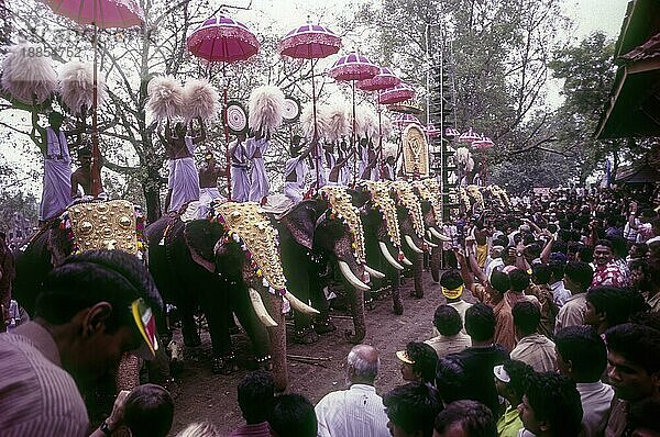 Pooram Festival in Thrissur Trichur  Kerala  Südindien  Indien  Asien