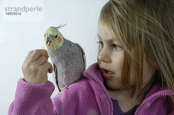 Mädchen mit Nymphensittich (Nymphicus hollandicus)