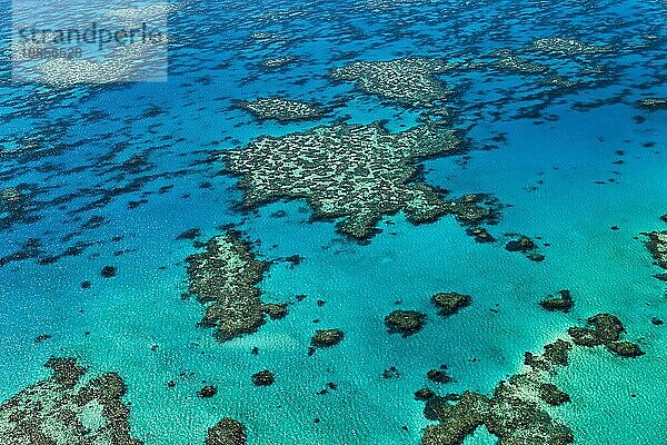 Großes Barriere-Riff. Whitsundays. Queensland Australien