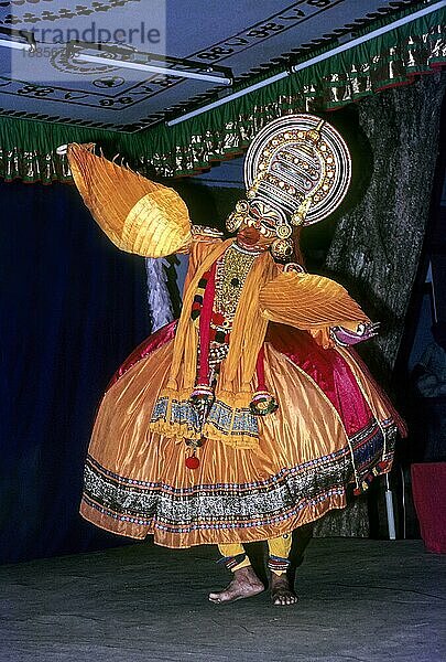 Eine Vogelfigur im Kathakali  normalerweise Hamsam  Schwan in Kerala  Südindien  Indien  Asien