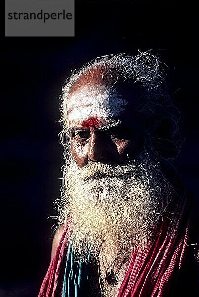 Sadhu  ein Shiva-Verehrer und Asket oder Bettelmönch in Tamil Nadu  Südindien  Indien  Asien