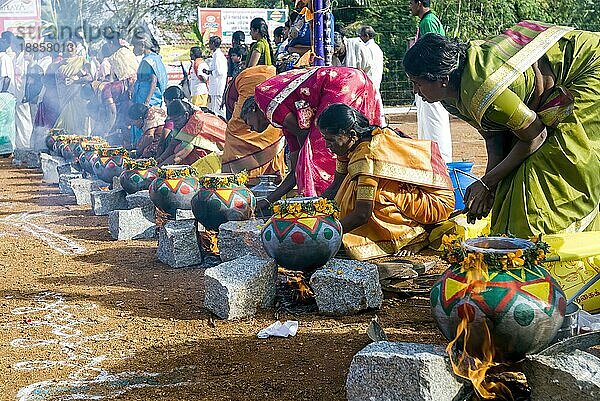 Frauen beim Pongal-Fest in Pollachi  Tamil Nadu  Südindien  Indien  Asien