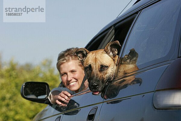 Frau und Mischlingshund schauen aus Auto
