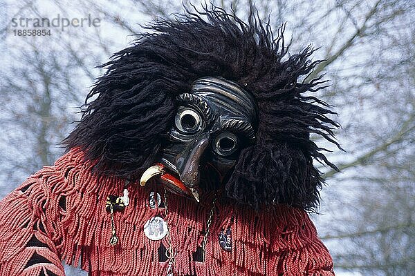 Mensch in Karnevalskostüm  Lindau  Bodensee  Bayern  Deutschland  Fastnacht  Europa