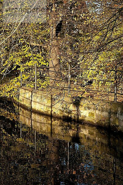 goldener Herbst Stimmung Wordgarten Quedlinburg