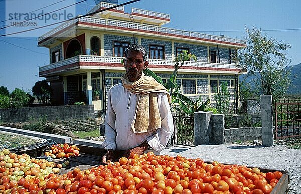 Gemüsehändler mit Tomaten  Pokhara  Nepal  Asien